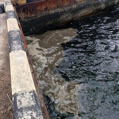 Атаки РФ припортової інфраструктури спричинили забруднення Сухого лиману на Одещині. Фото: Держекоінспекція