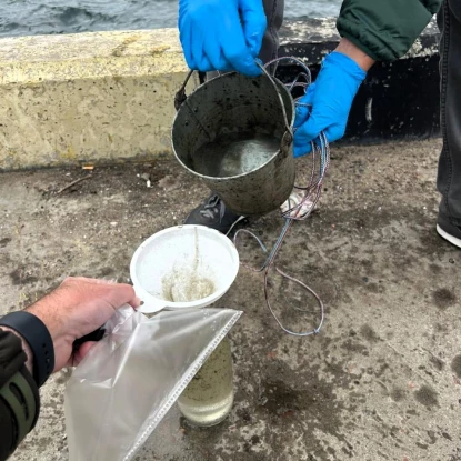 Атаки РФ припортової інфраструктури спричинили забруднення Сухого лиману на Одещині. Фото: Держекоінспекція