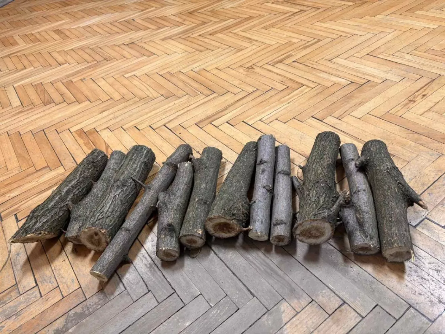 Фото: Державна виконавча служба Дніпра