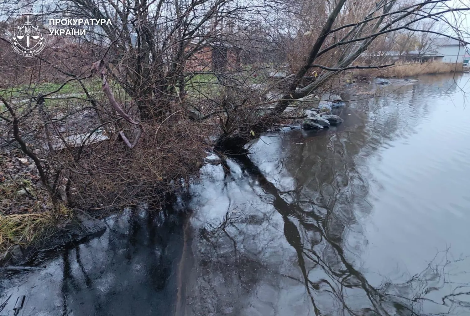 В акваторії Південного Бугу біля Ладижинської ТЕС стався викид мазуту. Фото: Вінницька обласна прокуратура