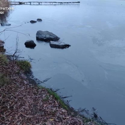 В акваторії Південного Бугу біля Ладижинської ТЕС стався викид мазуту. Фото: Вінницька обласна прокуратура