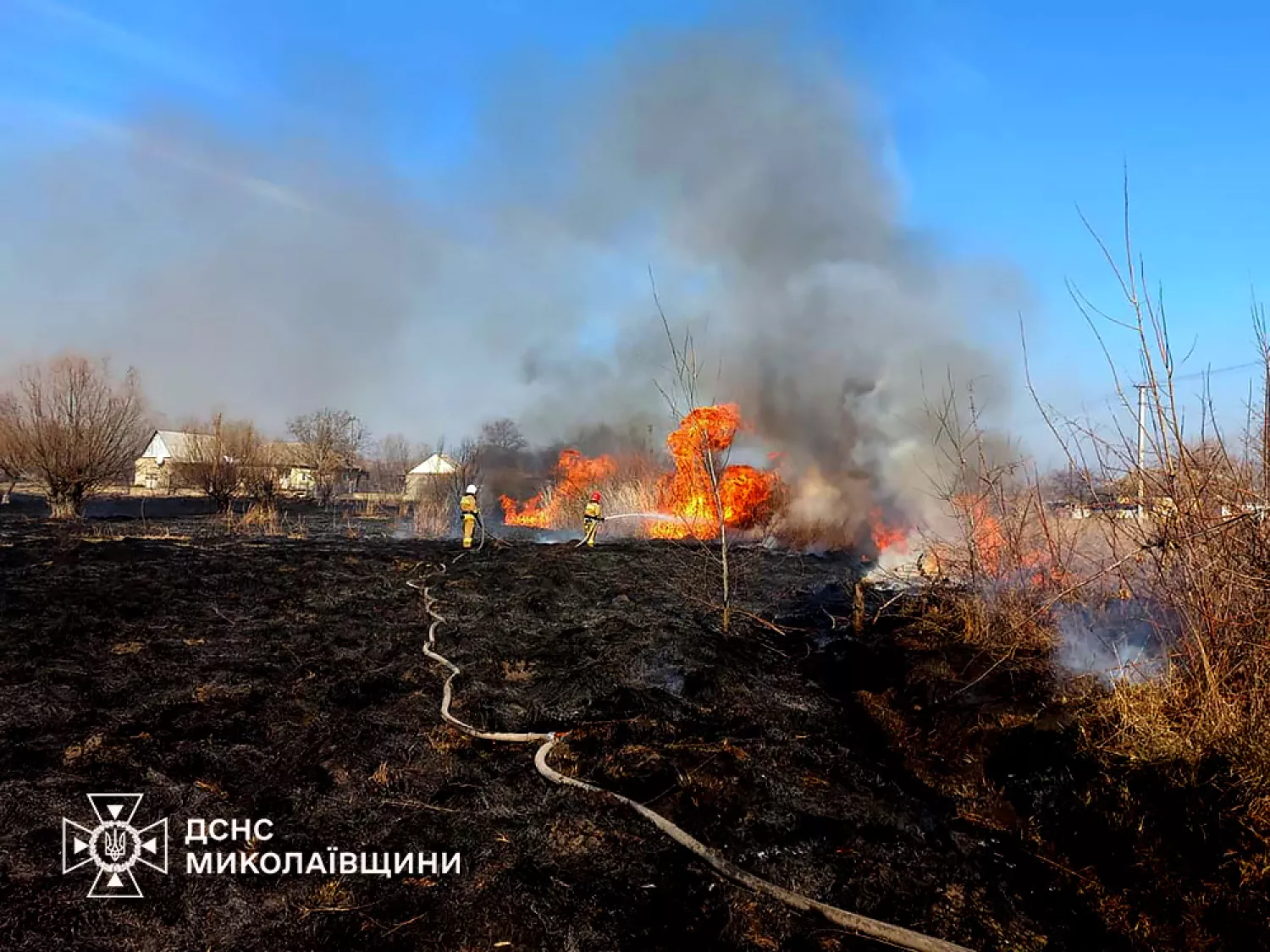 Пожежа на Миколаївщині, фото: ДСНС