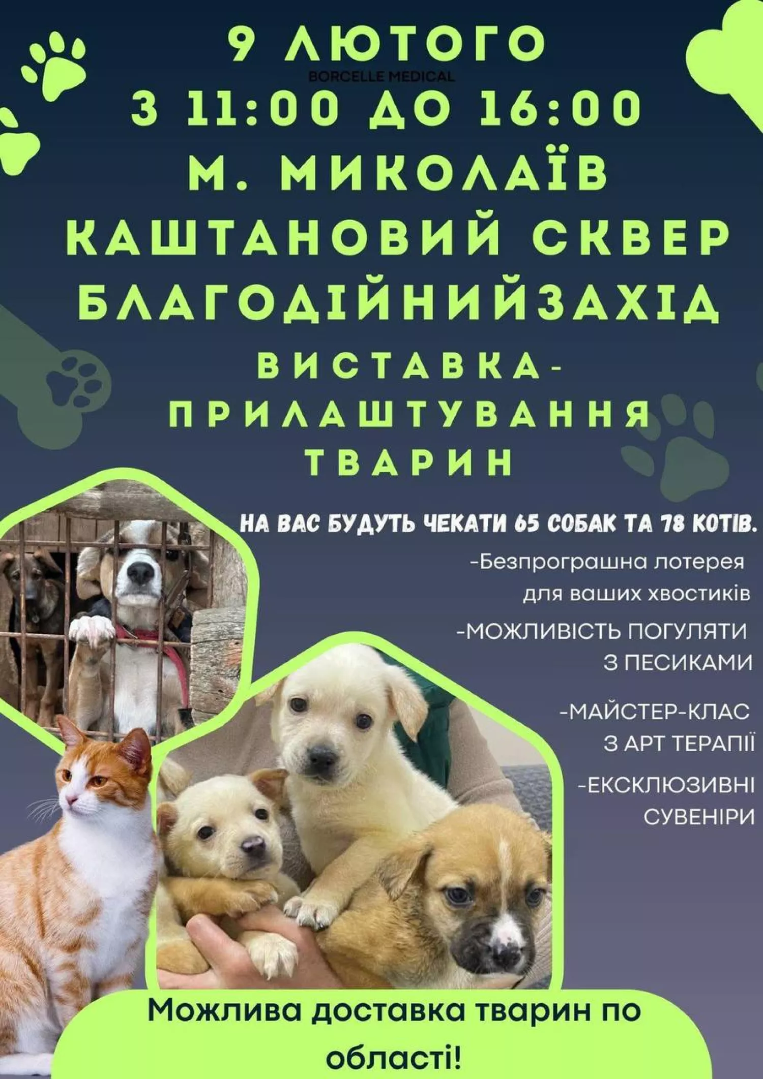 Миколаївців запрошують на виставку-прилаштування тварин. Анонс заходу