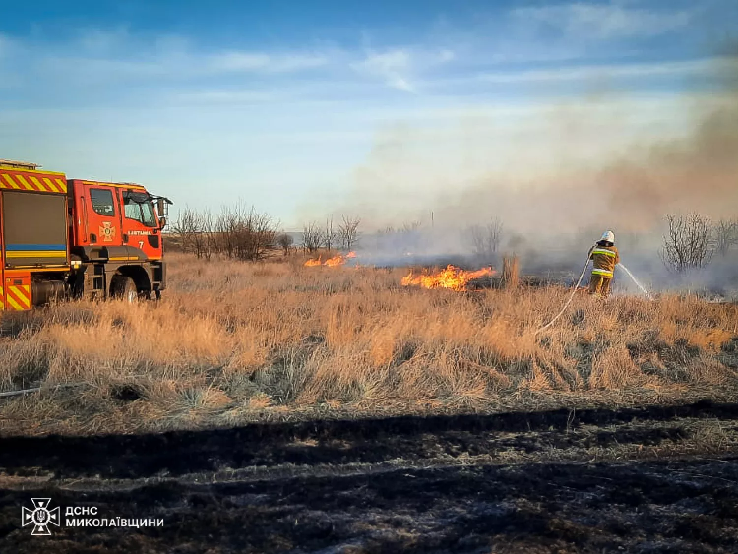 Пожежа на Миколаївщині 9 березня, фото: ДСНС