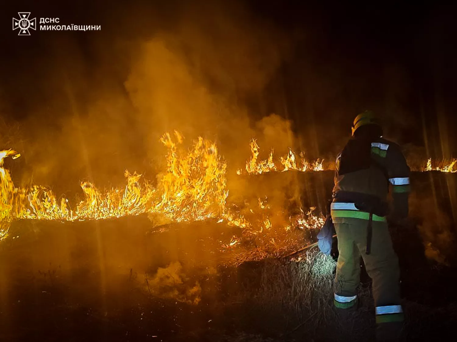 Пожежа на Миколаївщині 9 березня, фото: ДСНС