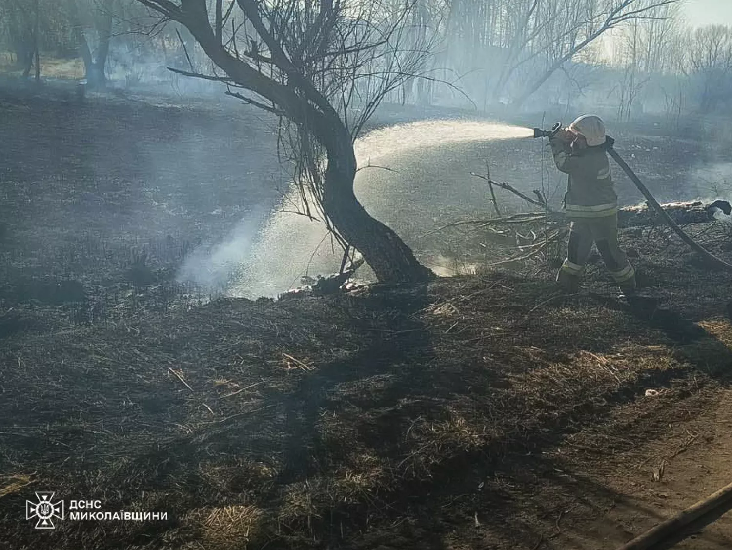 Пожежа на Миколаївщині 9 березня, фото: ДСНС