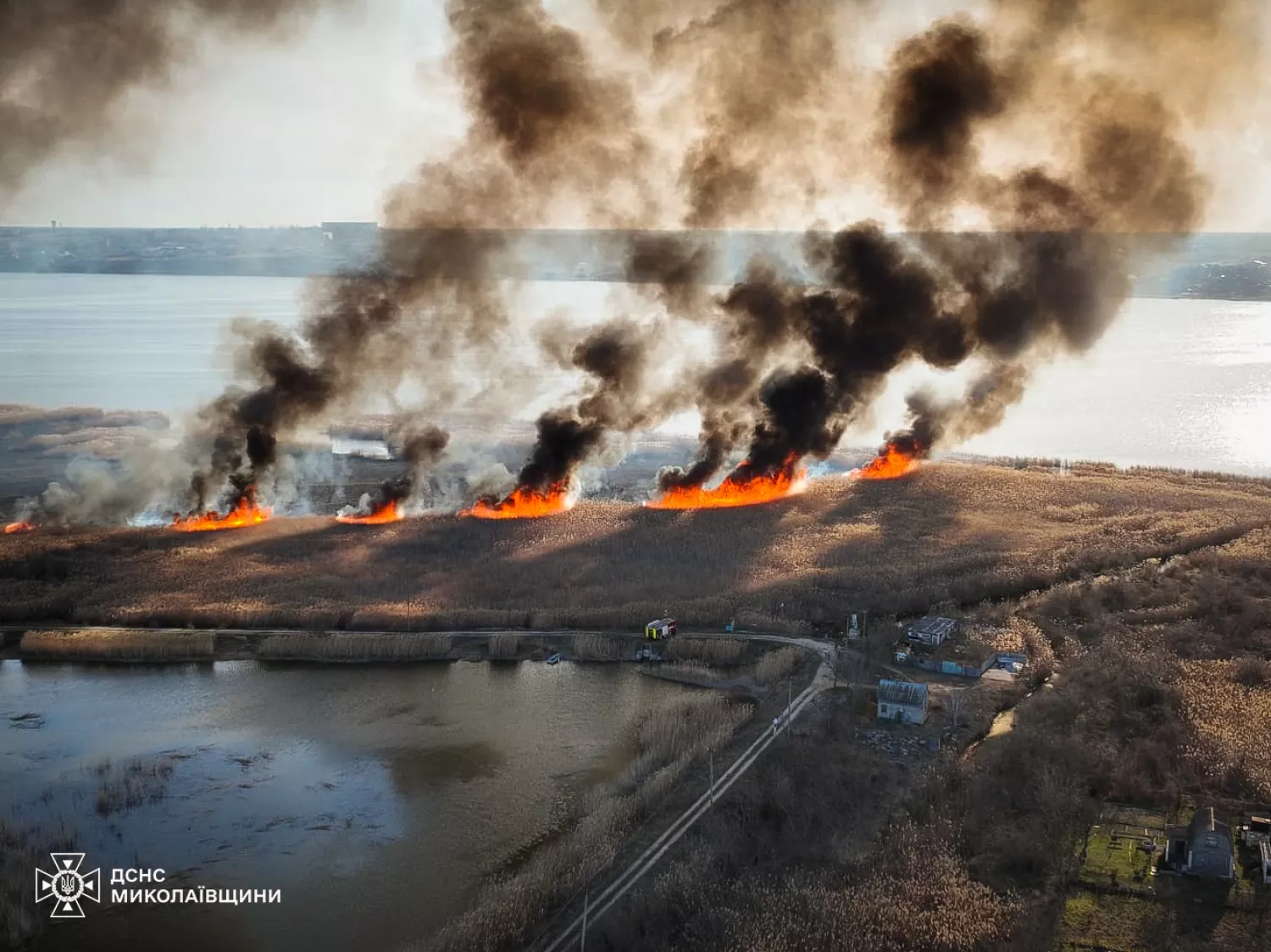 Пожежа на Миколаївщині 9 березня, фото: ДСНС