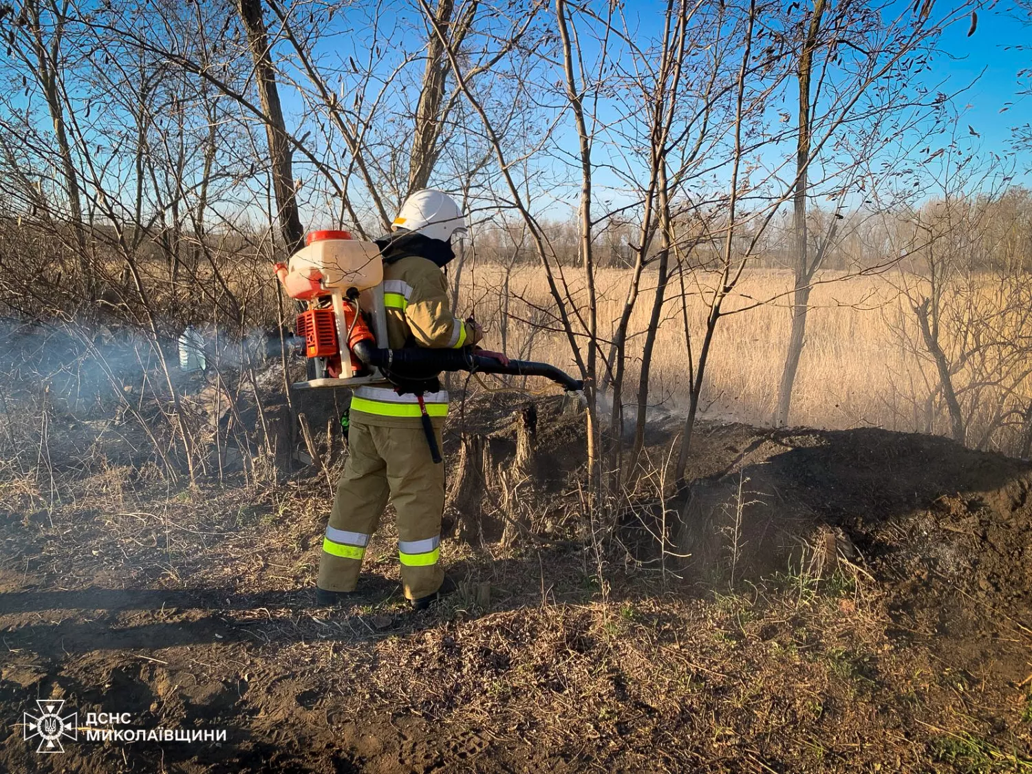 Пожежа на Миколаївщині 9 березня, фото: ДСНС