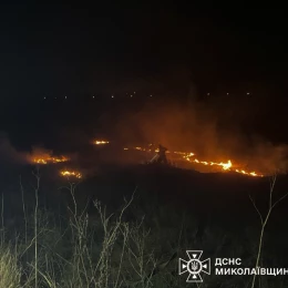 Пожежа на Миколаївщині 10 березня, фото: ДСНС