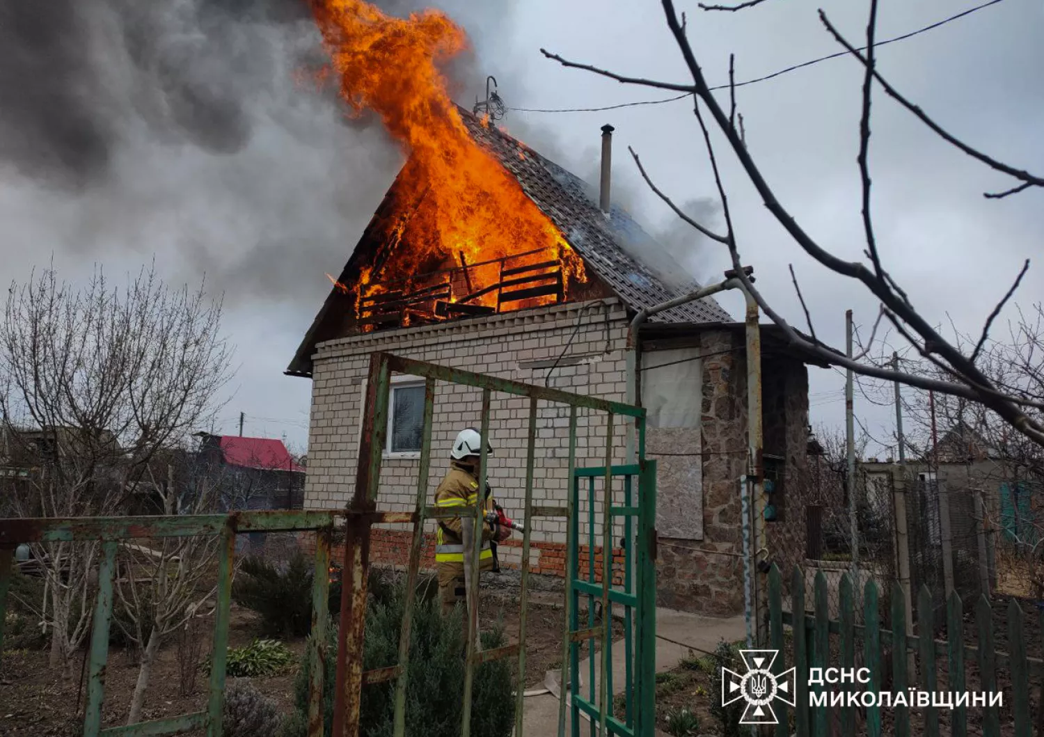 Пожежа на Миколаївщині 10 березня, фото: ДСНС