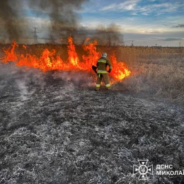 Пожежа на Миколаївщині, фото: ДСНС