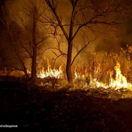 За добу на Миколаївщині сталося 14 пожеж. Фото: ДСНС Миколаївщини