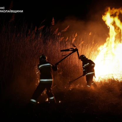 Пожежа у Миколаївській області 7 березня, фото: ДСНС