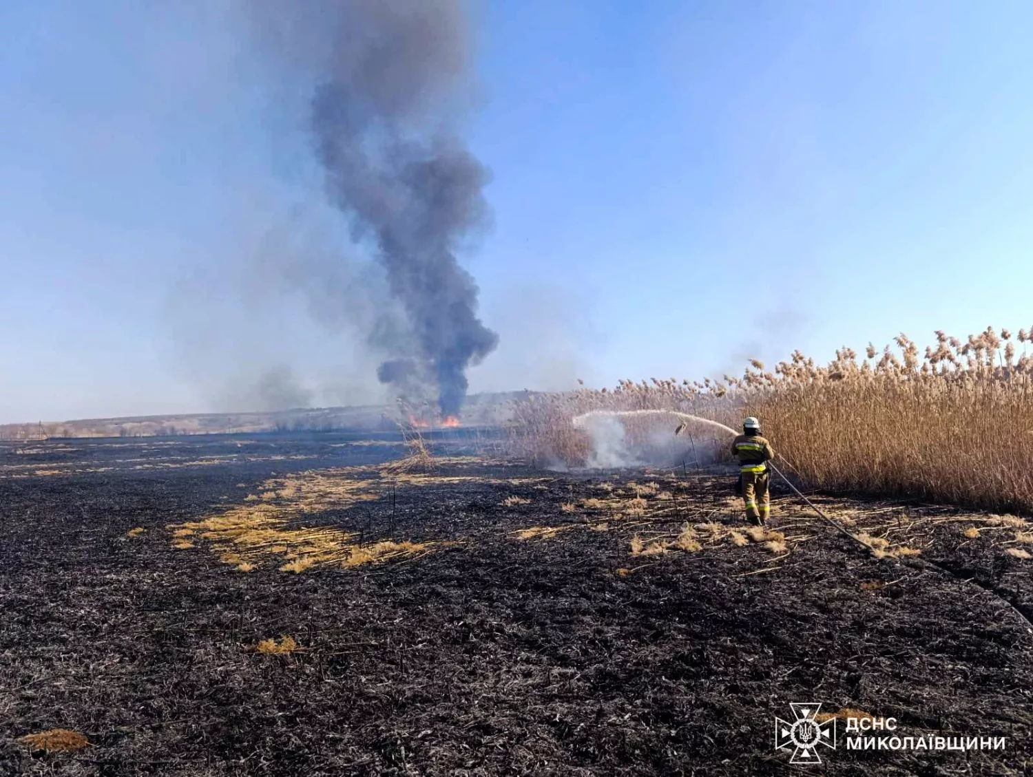 Рятувальники гасять пожежі на Миколаївщині. Фото: ДСНС