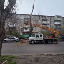 Повалені дерева в Одесі. Фото: Думська