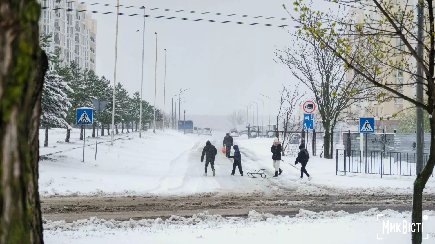Заморозки та сніг у середині квітня — незвичне явище для Миколаєва. Фото: NikVesti