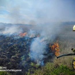 Пожежа на Миколаївщині, фото: ДСНС