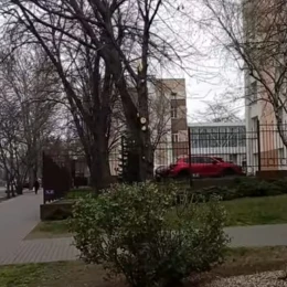 Обрізка дерев в районі вулиці Садової у Миколаєві. Фото: мешканка міста