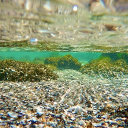 В Одесі водолази обстежують морське дно на пляжах. Фото: Одеська міська рада