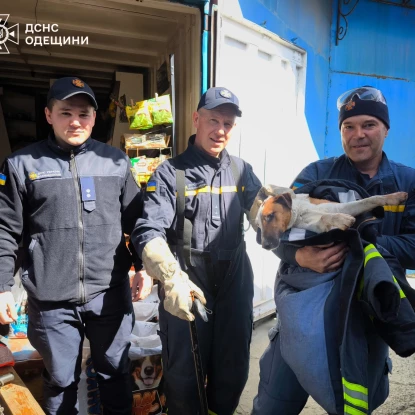 В Ізмаїлі рятувальники витягли песика, який застряг між контейнерами на ринку, фото: ДСНС