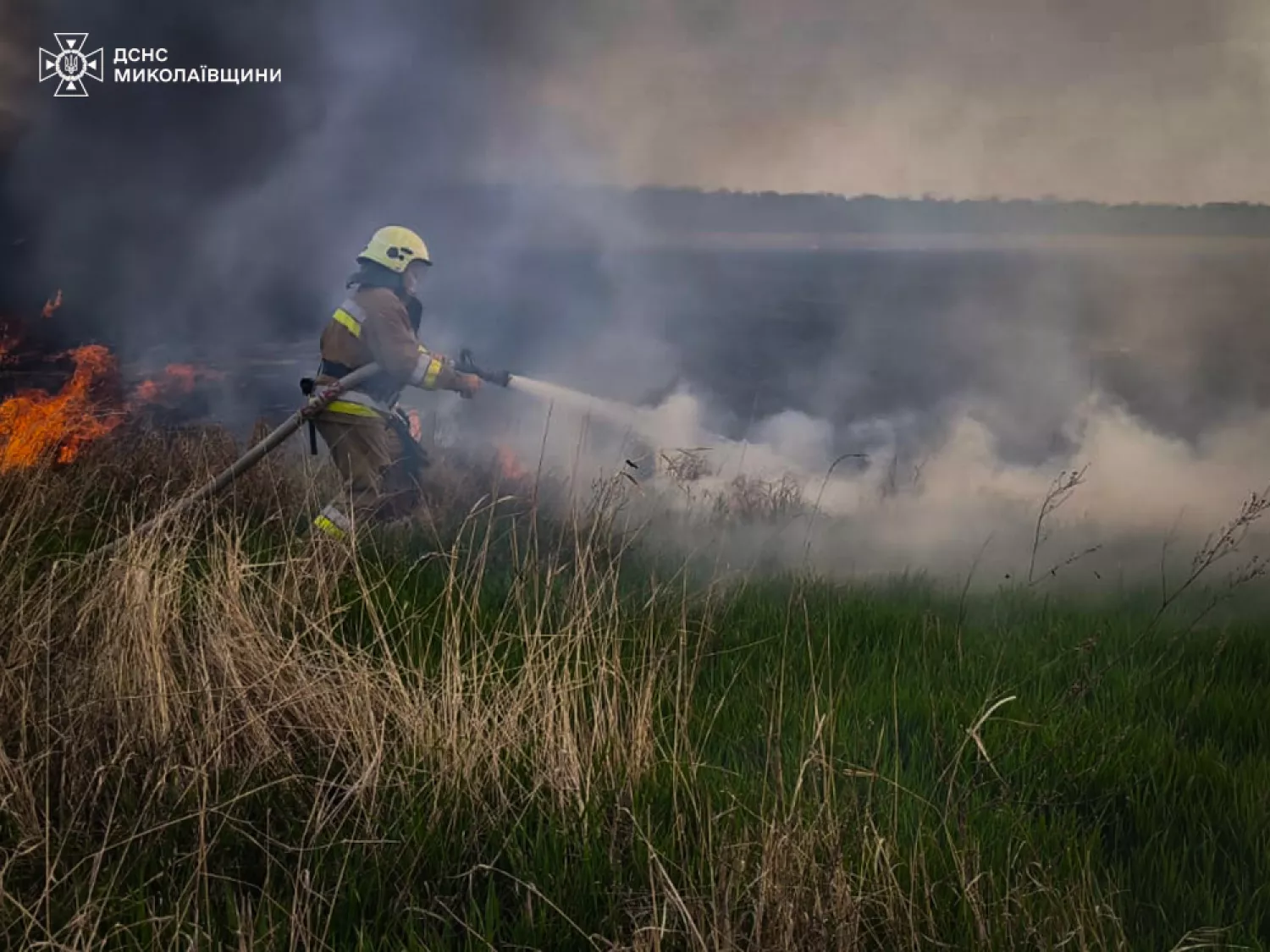 Пожежа на Миколаївщині, фото: ДСНС