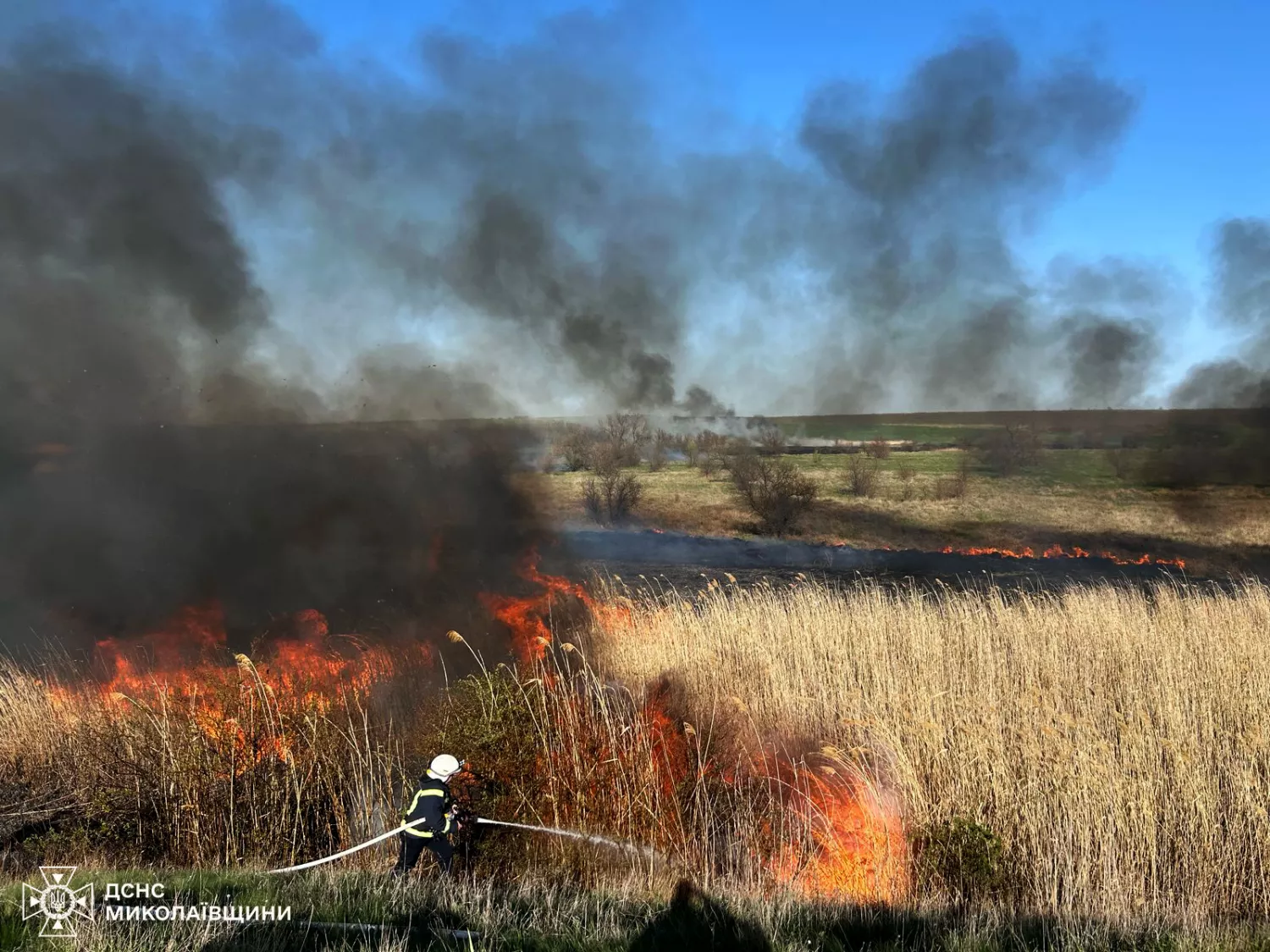 Пожежа на Миколаївщині 17 квітня, фото: ДСНС