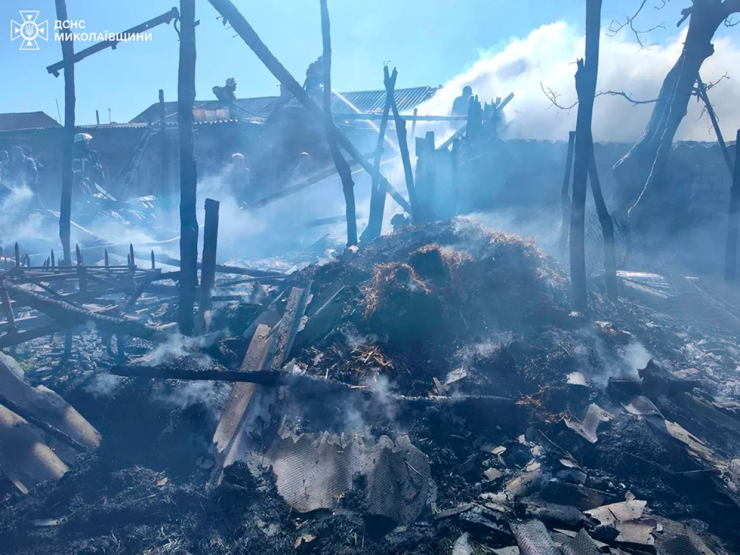 Пожежа в Миколаївській області 18 квітня, фото: ДСНС