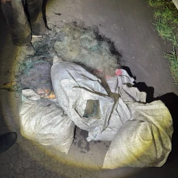 На Миколаївщині браконьєри наловили риби на понад ₴100 тисяч, фото: Нацполіція