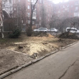 Вирубка дерев та початок будівництва по вулиці Соборній. Фото: Сергій Карпов
