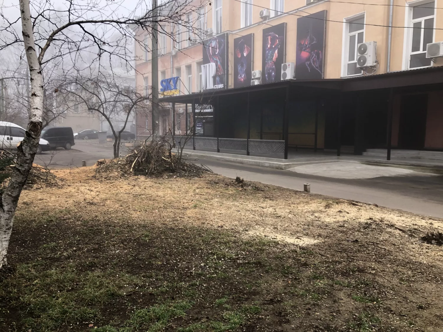 Вирубка дерев та початок будівництва по вулиці Соборній. Фото: Сергій Карпов