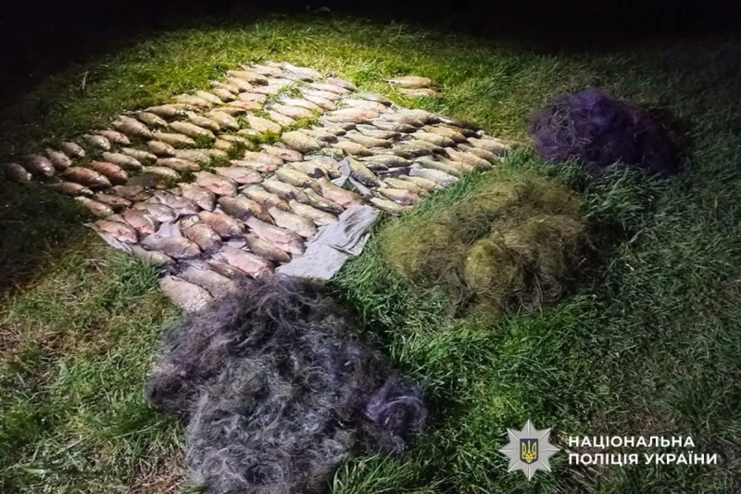 На Миколаївщині викрили браконьєра, який виловив 120 рибин з річки Інгул. Фото: Нацполіція