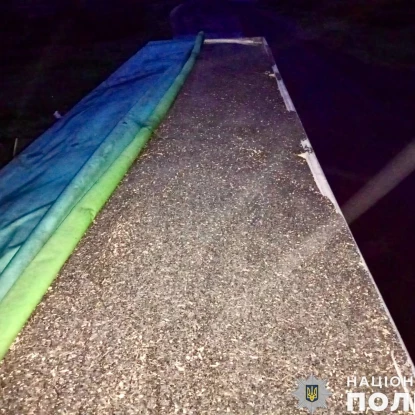 На Миколаївщині трьох чоловіків затримали за підозрою у крадіжці зерна, фото: Нацполіція