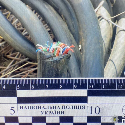 У Миколаєві поліцейські затримали чоловіка за крадіжку кабелю з підвалу, фото: поліція Миколаївщини