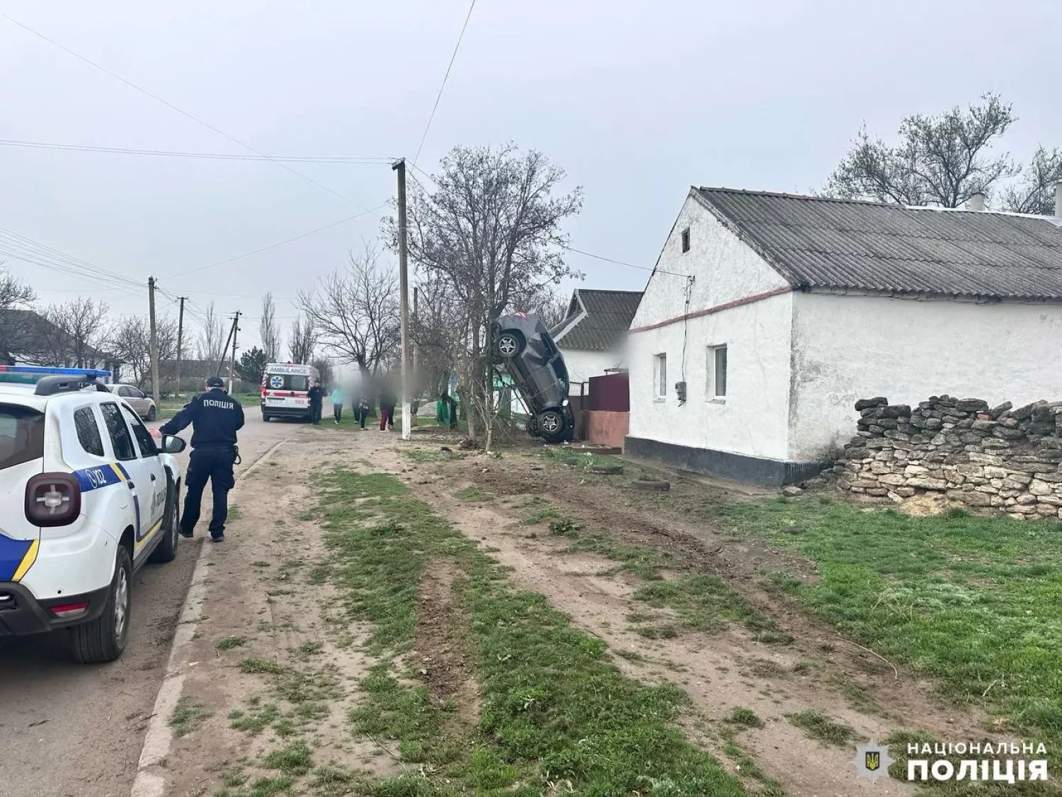 Нетверезий водій влетів у дерево на Миколаївщині: постраждали троє людей. Фото: поліція Миколаївської області