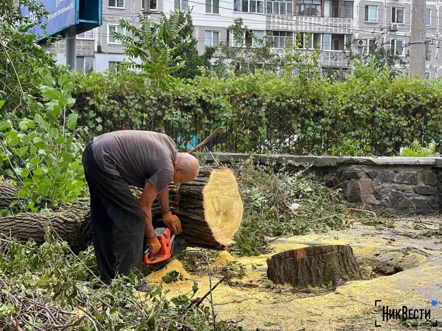 Знесення дерев у Миколаєві. Архівне фото НикВести
