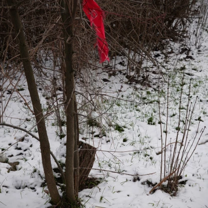 У Миколаєві на кладовищі знешкодили нерозірваний касетний боєприпас. Фото: ДСНС Миколаївщини