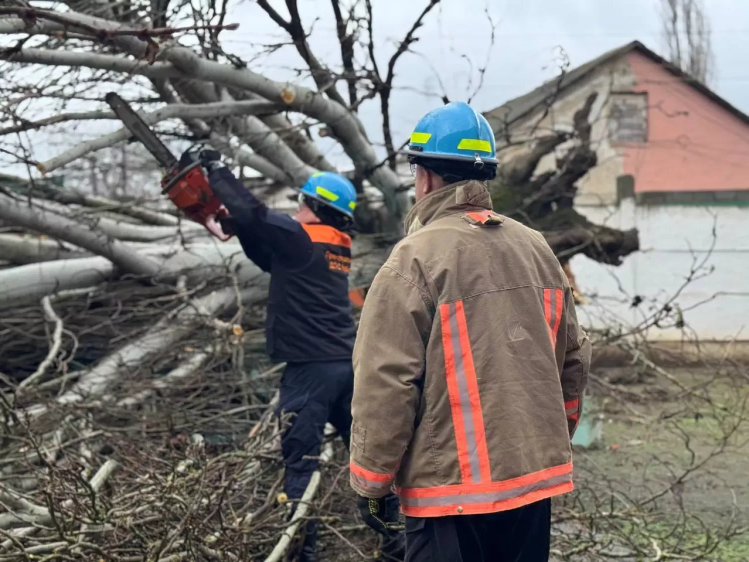 У Миколаєві через негоду впали дерева. Фото для ілюстрації управління з питань надзвичайних ситуацій та цивільного захисту населення Миколаївської міської ради