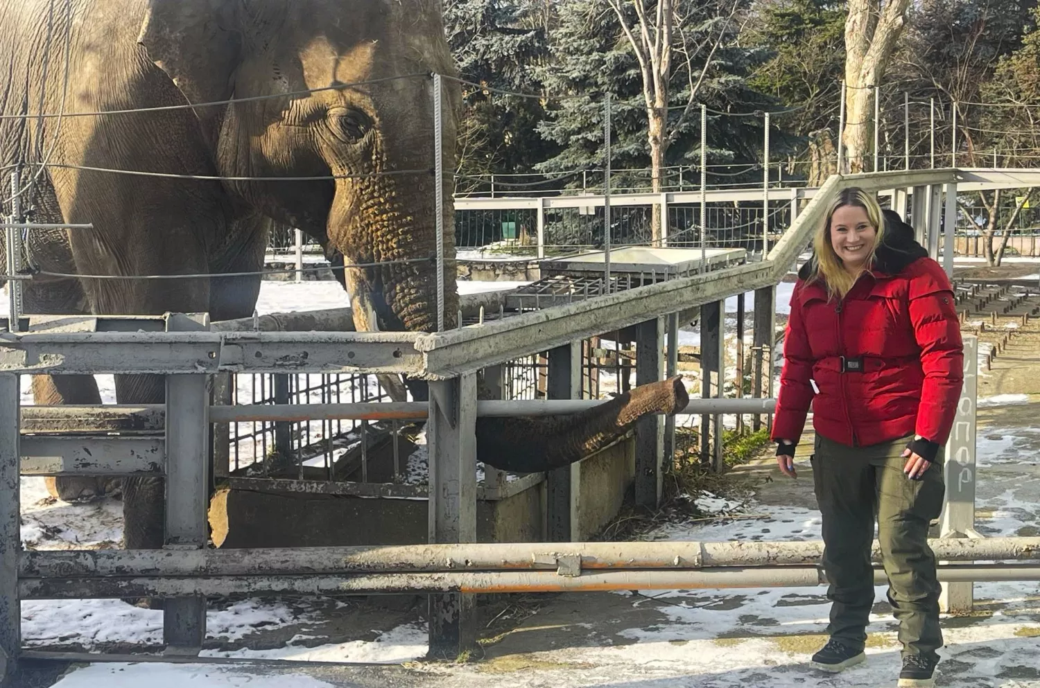 Миколаївський зоопарк відвідала науковиця з Німеччини та привезла подарунки для слонів. Фото: Миколаївський зоопарк