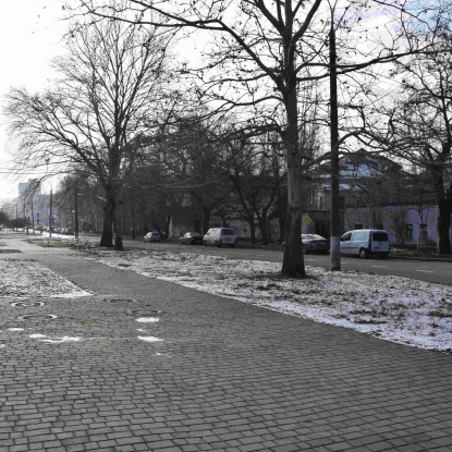 Ділянка, яку виділять під простір пам'яті. Фото: NikVesti