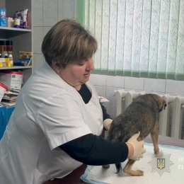 На Одещині підліток скинув собаку з обриву, поліція відкрила справу. Фото: Нацполіція