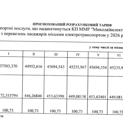 Скриншот тендерної документації із системи публічних закупівель Prozorro