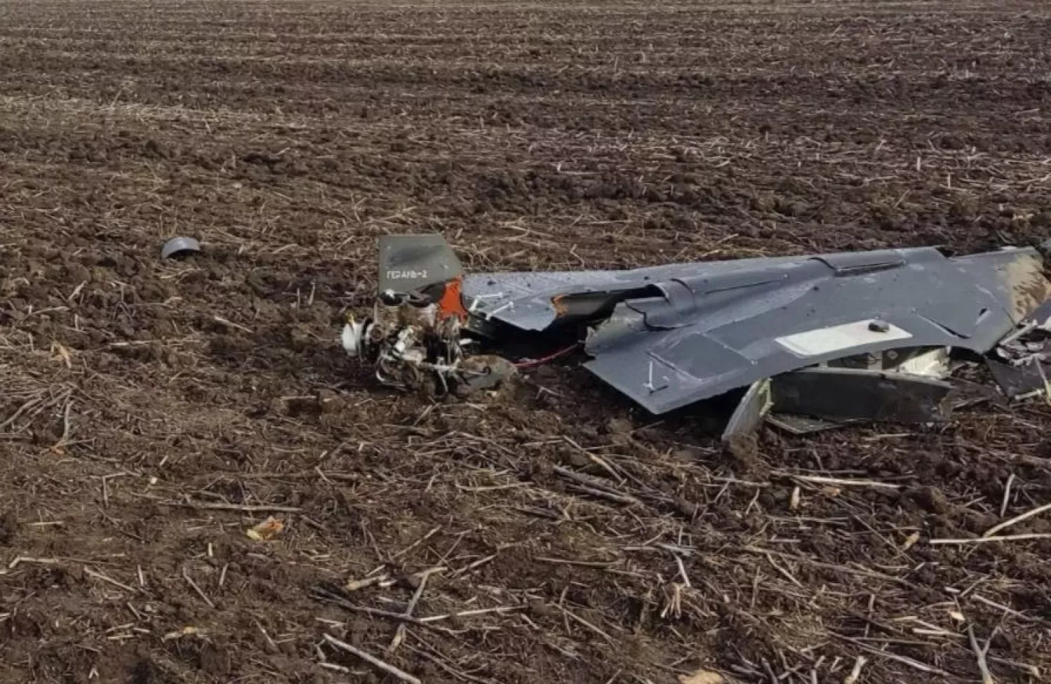 Збитий Shahed. Фото: poltava.to
