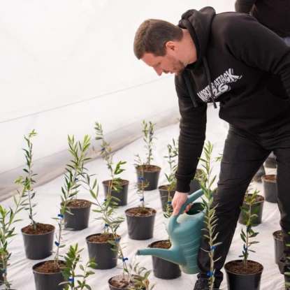 На Херсонщині почали вирощувати оливки, фото: Oleksandr Prokudin/Facebook