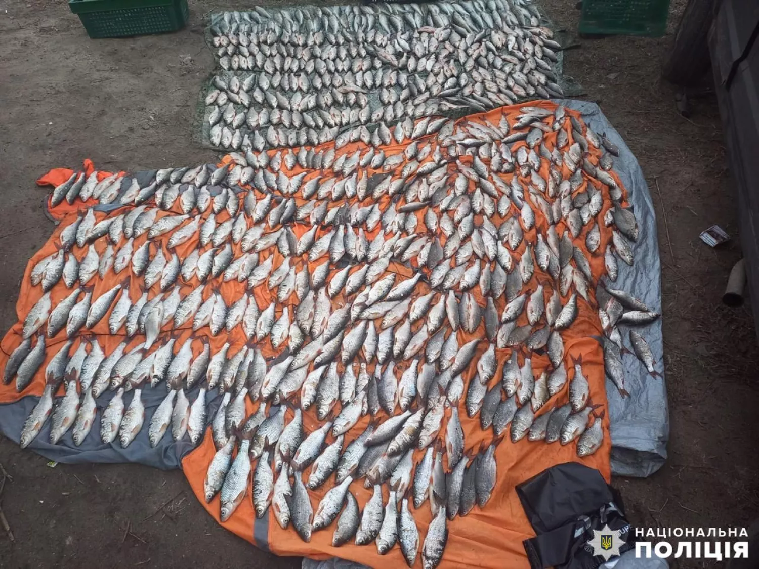 У Миколаєві рибалку зобов&rsquo;язали відшкодувати понад ₴1,3 млн збитків. Фото: Нацполіція Миколаївщини