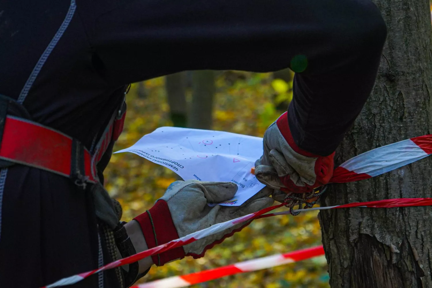 Молодь Миколаївщини очолила всеукраїнський рейтинг зі спортивного туризму. Фото: Миколаївська обласна Федерація спортивного туризму.