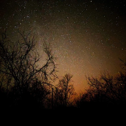 Увечері над Миколаївщиною спостерігали північне сяйво. Фото: Мар’яна Лебедєва
