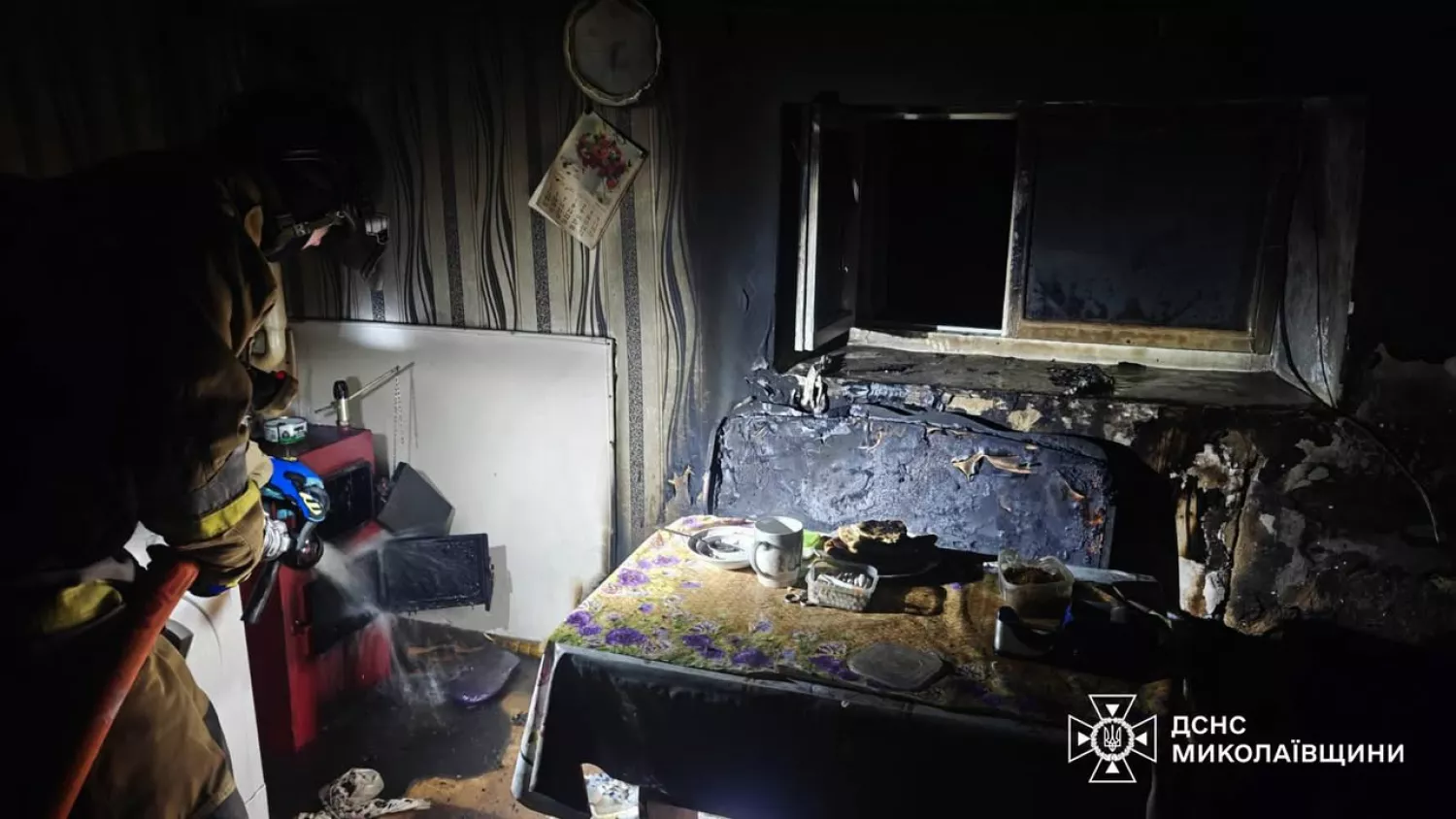 Пожежа на Миколаївщині. Фото: ДСНС