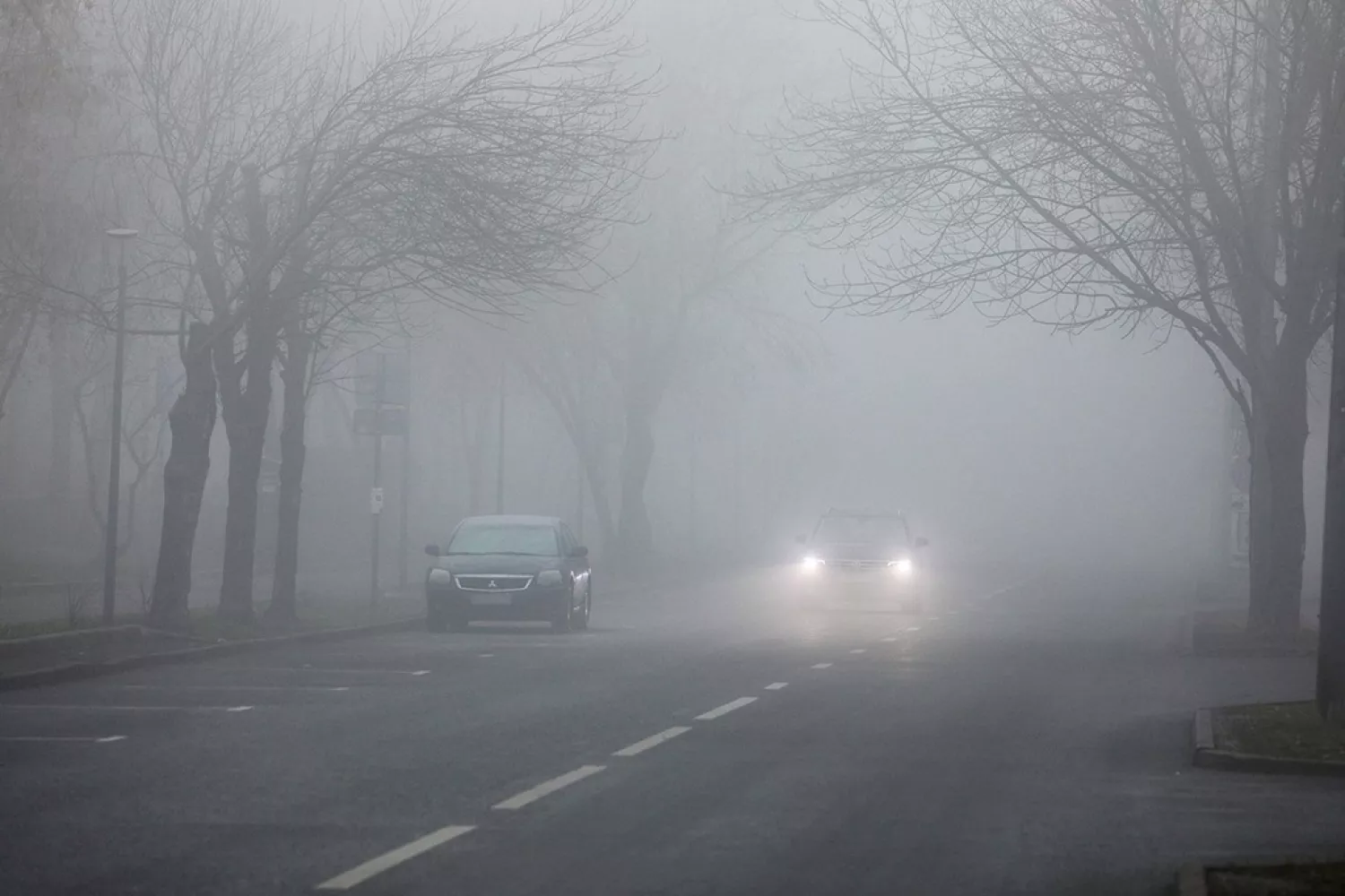 Туман на дорозі. Фото: pravda.if.ua