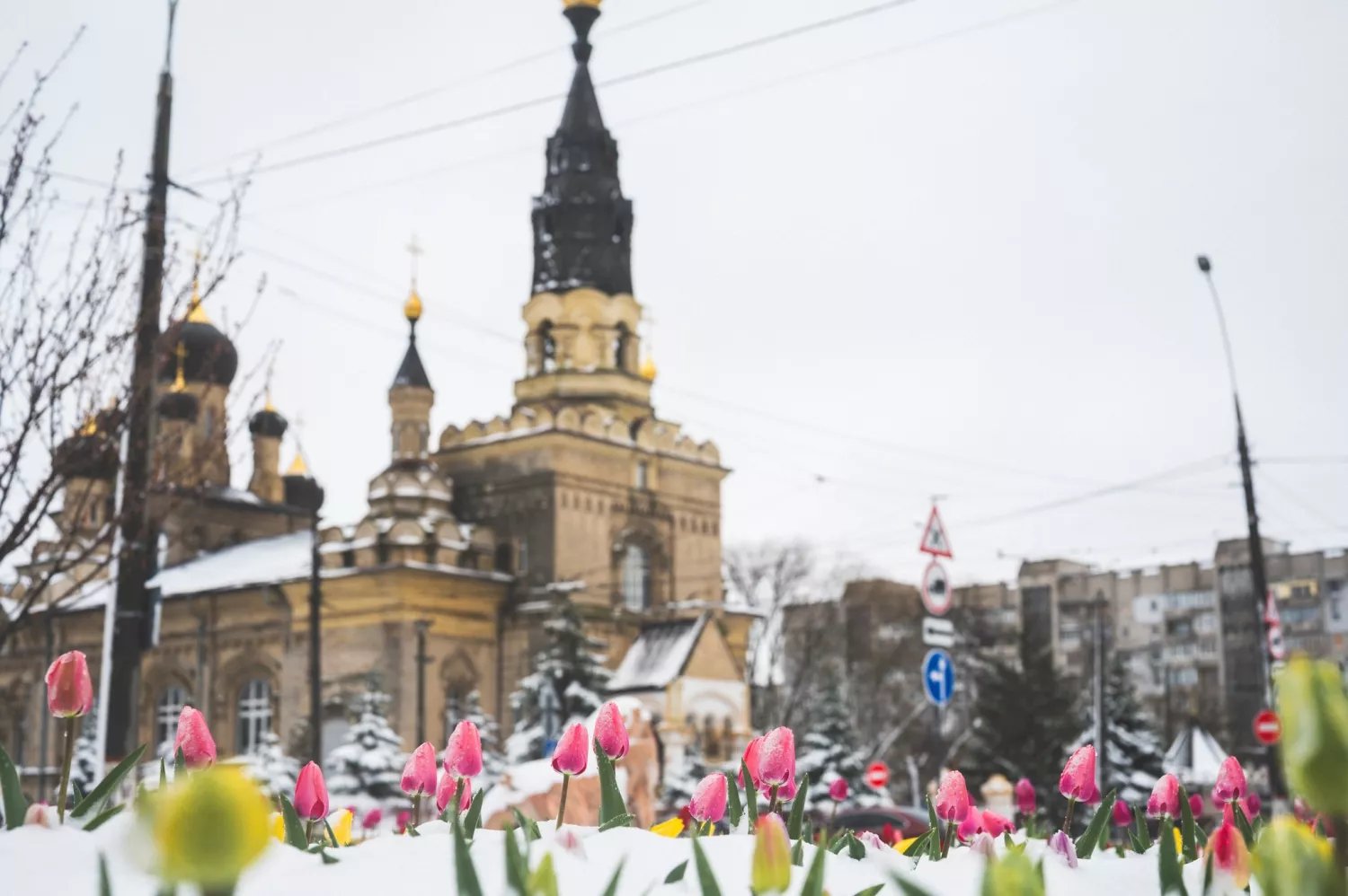 Ілюстративне фото: Світлана Коваль