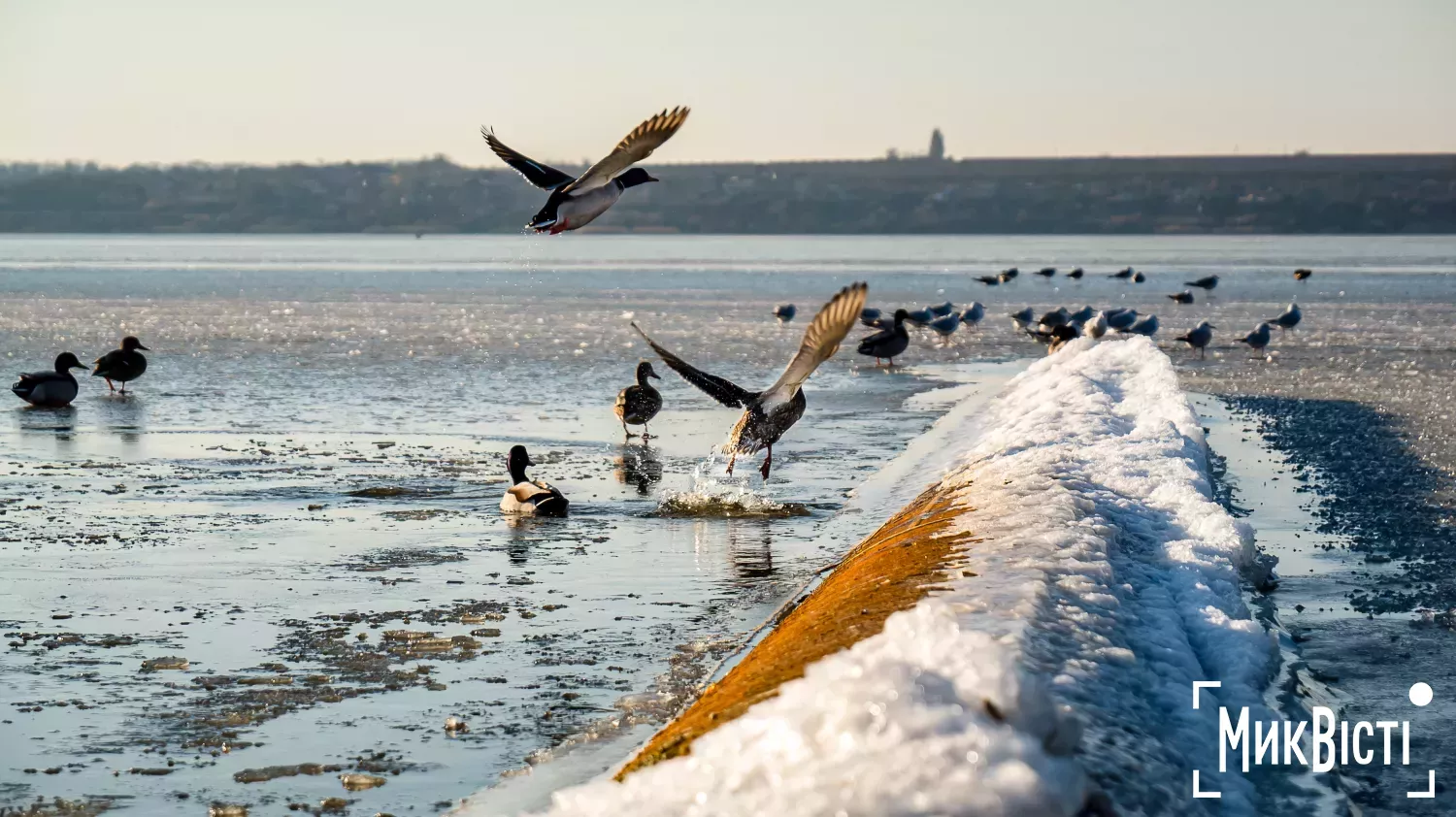 Миколаїв, лютий 2025 року. Фото: Сергій Овчаришин, МикВісті